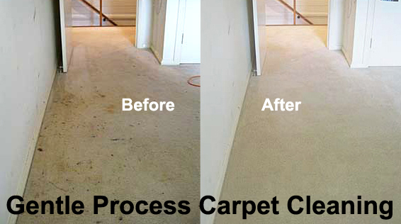 Carpet Cleaning